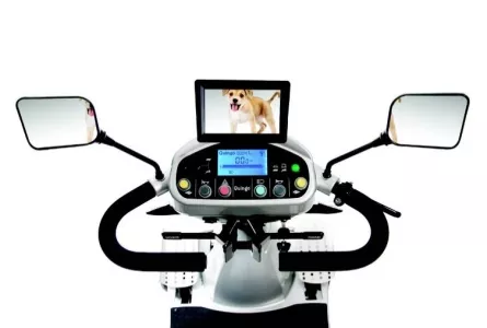Afmetingen scootmobiel: meten is weten!